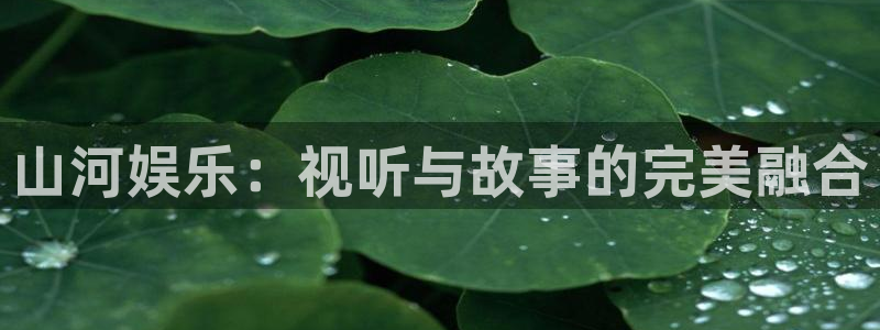 摩登7lite登录入口